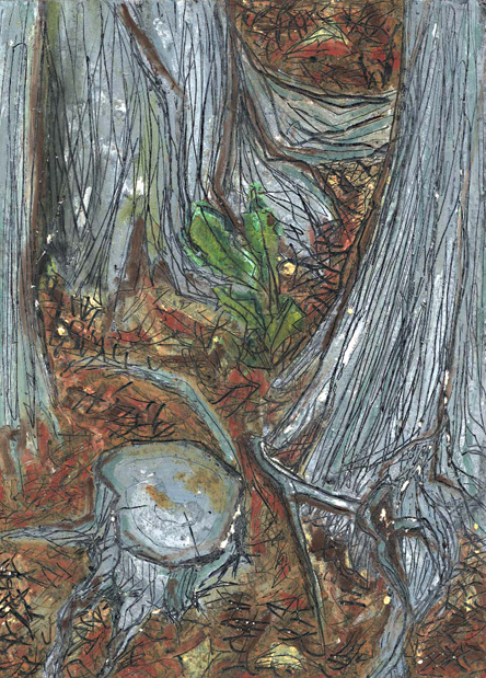 cedars