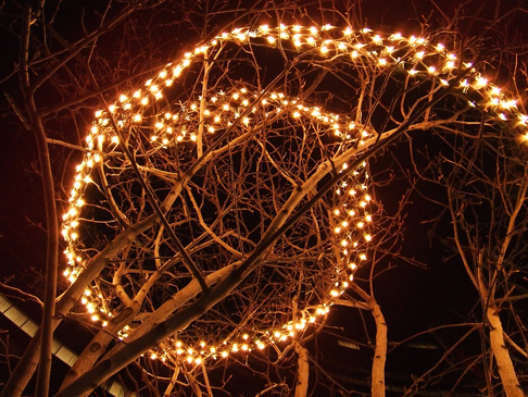 light-spiral.jpg