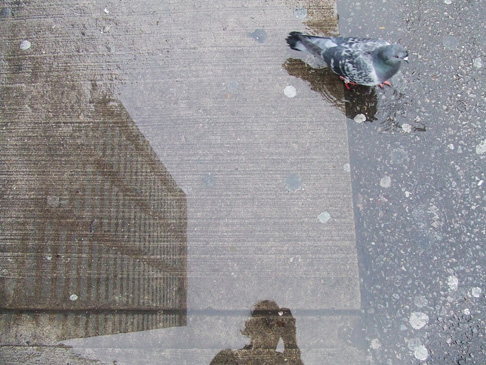 puddle.jpg