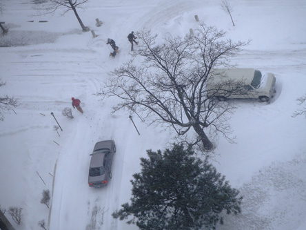 febsnow.jpg