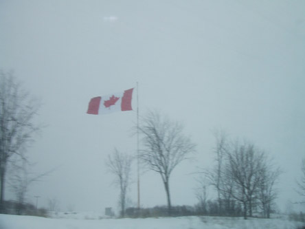 flag.jpg