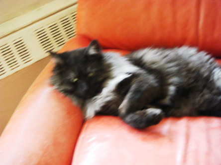 myshkin56.jpg