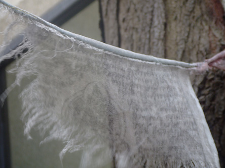 prayerflag.jpg