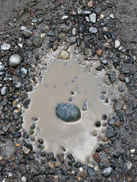 puddle-2_1.jpg puddle-2_1.jpg