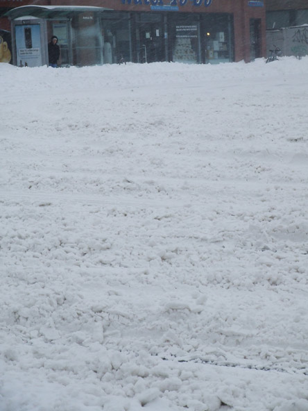 snowshelter.jpg