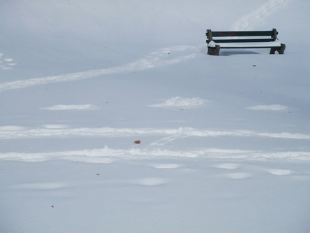 snowtrax.jpg
