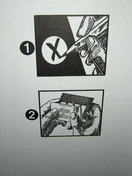 voting_instructions.jpg